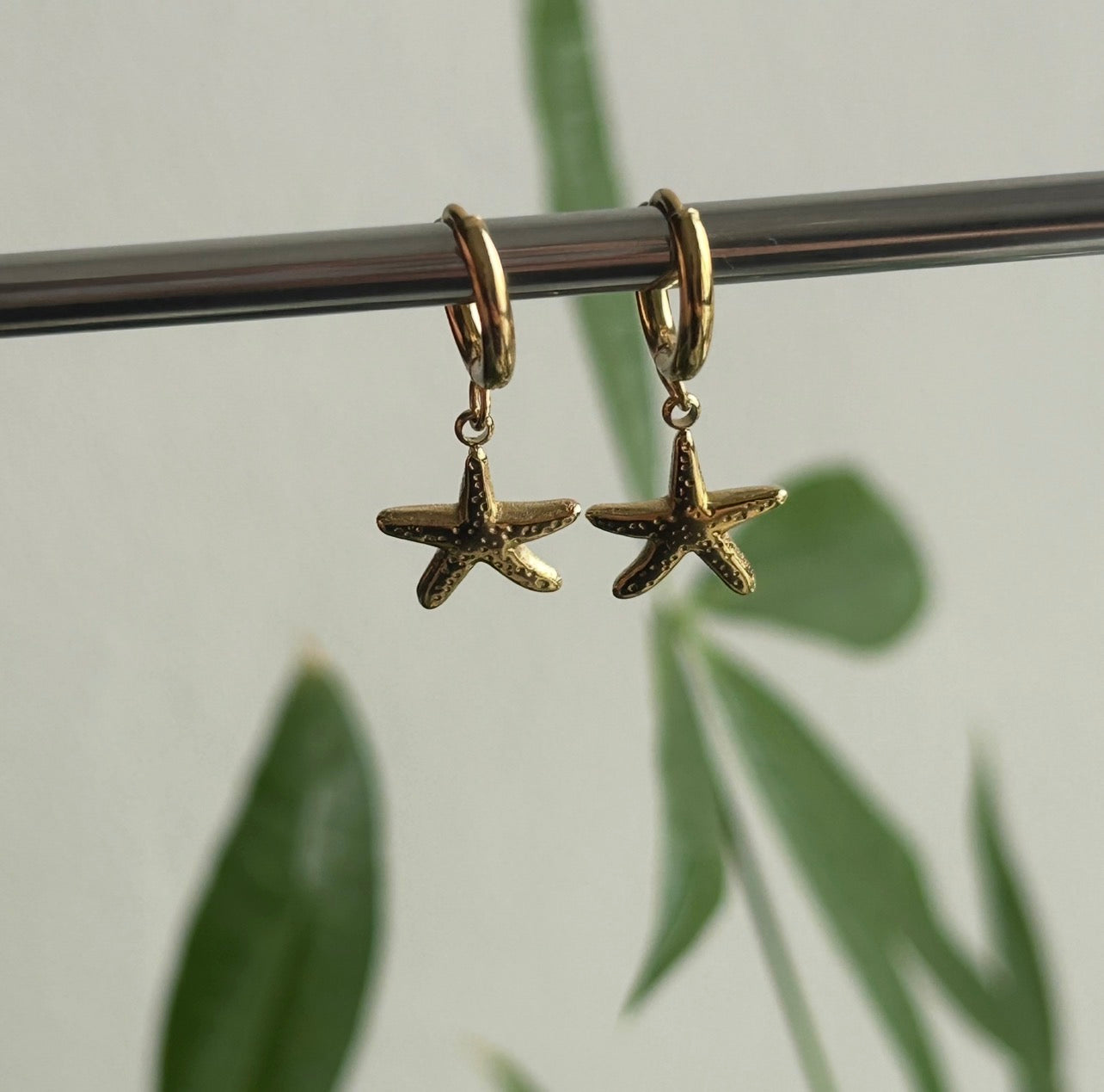Starfish Hoops
